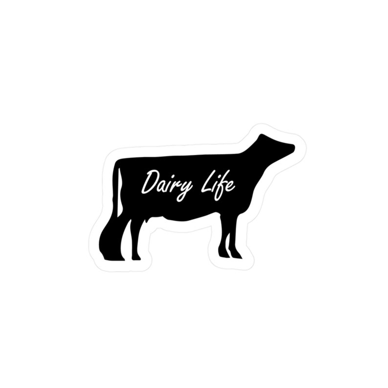 Dairy Show Cow Heifer Sticker: Vibrant Kiss-cut Vinyl Decal - Etsy