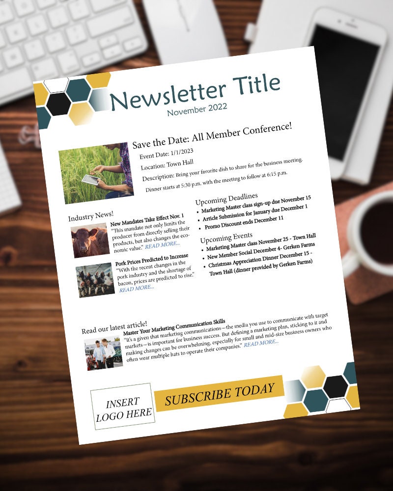 DIY Customizable Print Newsletter Template Small Business Word Document ...