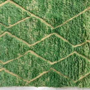 Green Moroccan wool rug with cream diamond lattice pattern, handmade in Beni Ourain style. Styled in a bright modern boho room with plants, rattan furniture, and natural light. The rug has a plush texture, tribal design, and fringe details, making it perfect for earthy, creative, or minimalist interiors. Crafted by Berber artisans, it's soft, thick, and ethically made using traditional weaving techniques.