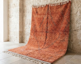 May include: A large, orange rug with a geometric pattern and fringe detail. The rug is displayed against a textured stone wall and floor. The rug's color is a warm, earthy tone, and the fringe is a light beige.