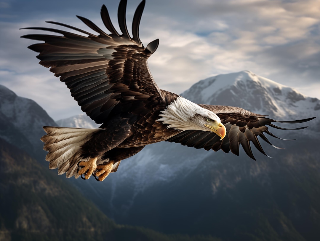 Soaring Animals Soaring Bald Eagle Art Print, Patriotic Animal Wall Decor (digital ...