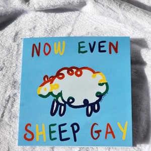 Agora mesmo cartão gay de ovelhas, cartão de piada, cartão de arco-íris LGBTQ, arco-íris, cartão de piada gay, desenho de ovelha, cartão quadrado em branco, cartões engraçados