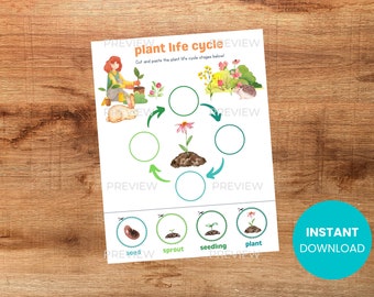 PRINTABLE Plant Life Cycle Cut & Paste Activity - Homeschool Montessori Waldorf Nature