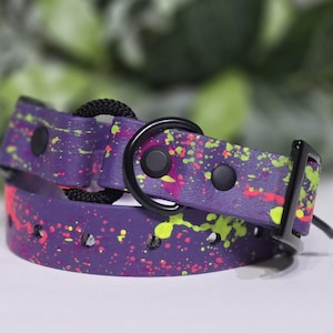 May include: A purple dog collar with a black buckle and a colorful splatter paint design. The paint is in shades of yellow, pink, and green.