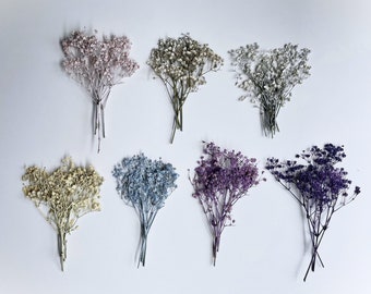 Dried Pressed Baby's Breath Million Star Flowers - Various Colors | Bulk, Perfect for decors, weddings & more