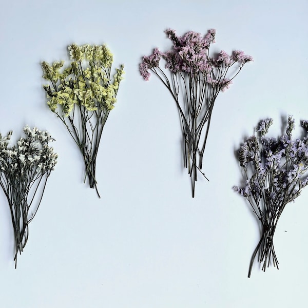 Dried Pressed Limonium Flowers - Various Colors | Bulk, Perfect for decors, weddings & more