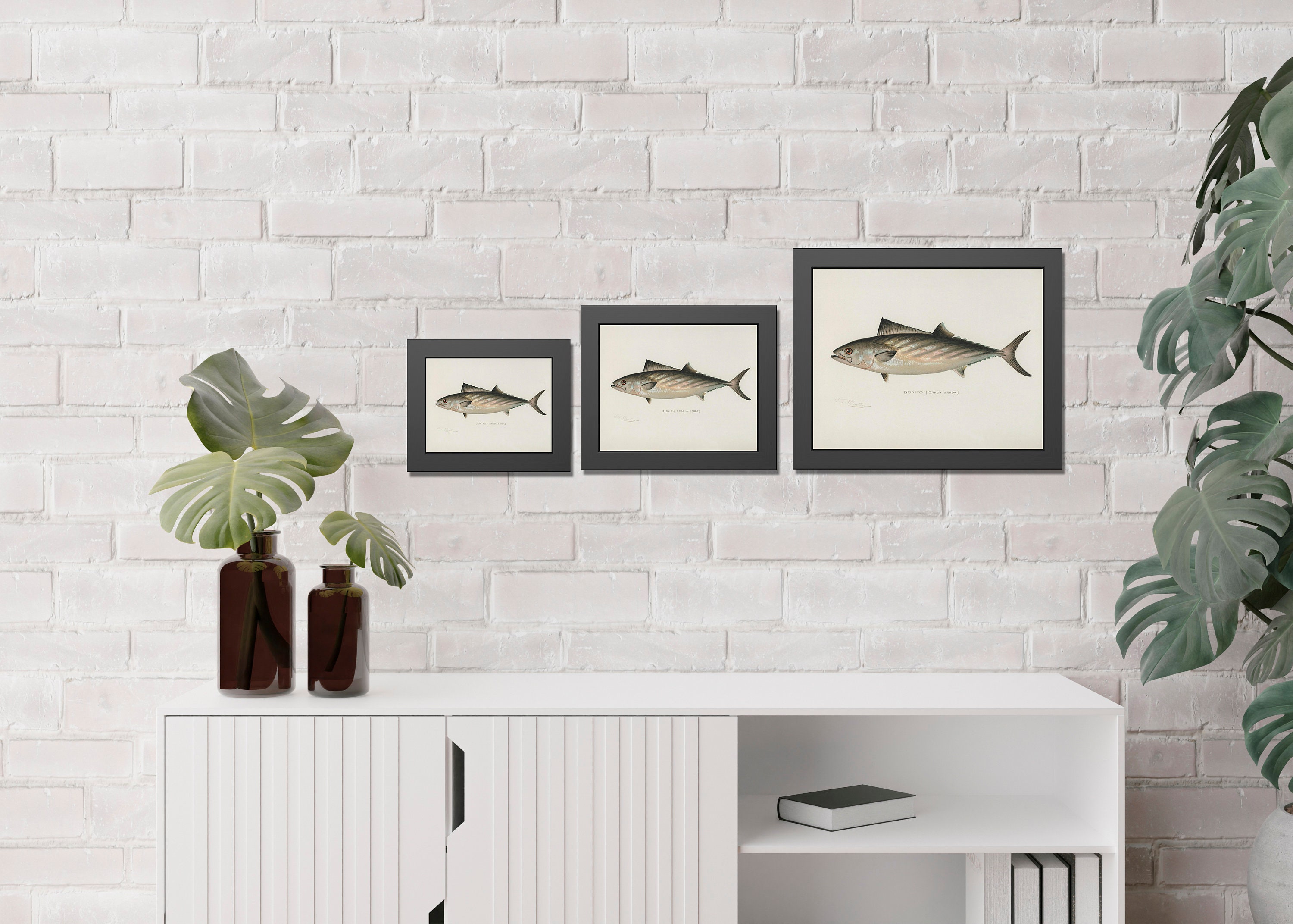 Vintage Fish Lithograph Prints Rustic Fish Wall Art Sherman Etsy
