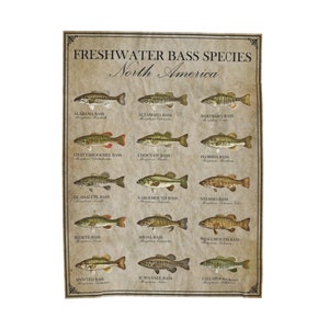 May include: A vintage-style poster illustrating different freshwater bass species found in North America. The poster features a brown background with a black border and white text. Each bass species is illustrated with a detailed drawing of the fish and its scientific name.