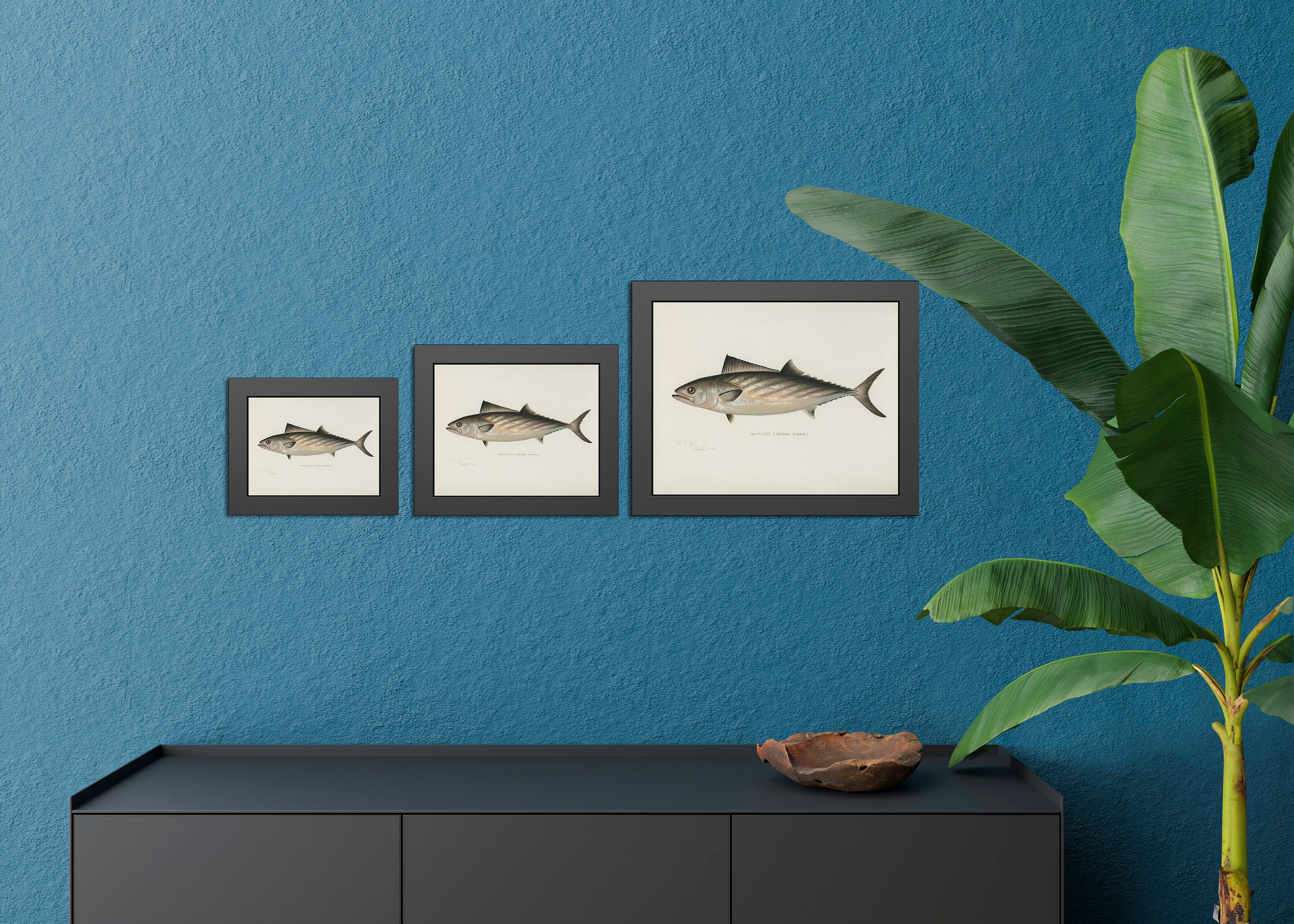 Vintage Fish Lithograph Prints Rustic Fish Wall Art Sherman Etsy