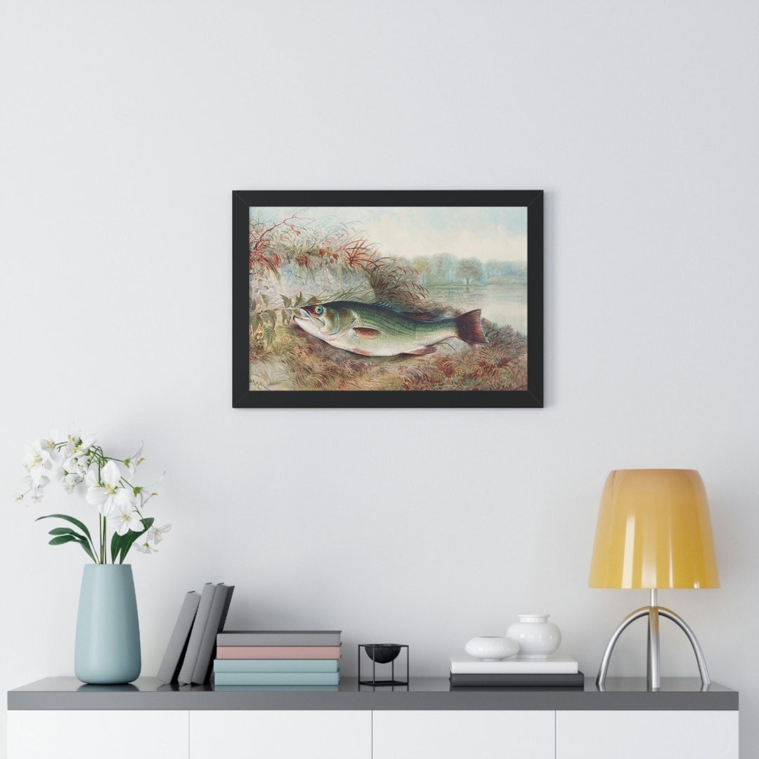 Vintage Fish Wall Art by Samuel Kilbourne Large Mouth Bass Etsy