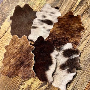 Genuine Cowhide Coasters | Wedding Favors | Western Decor | Handcut Mini Placemats | Set of 6
