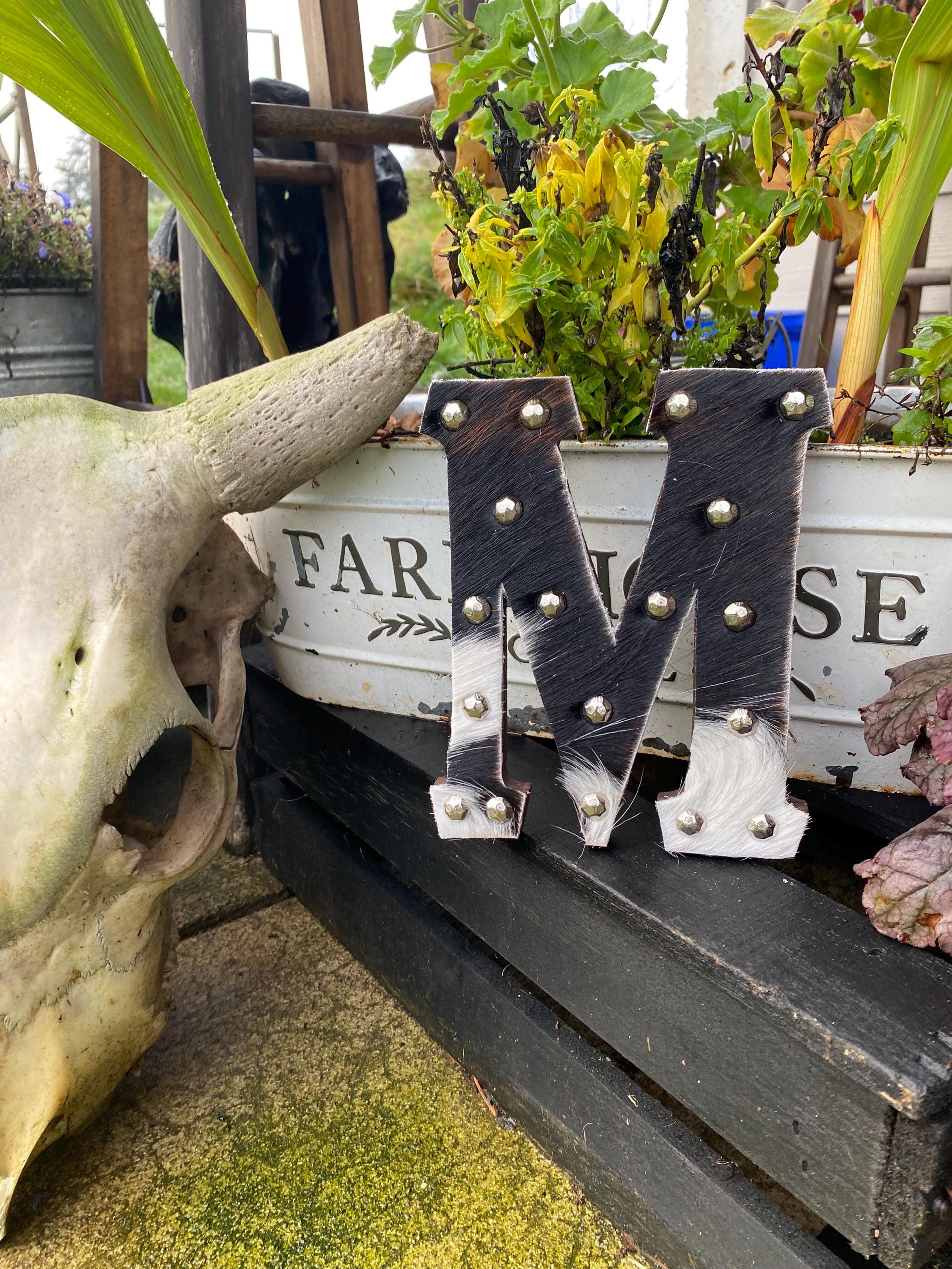7 Inch Cowhide Letter | Western Monogram | Made to Order - Etsy