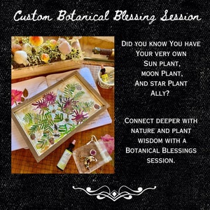 Benutzerdefinierte Plant Ally Session - Botanischer Segen. Enthält ein intuitives, individuelles Kunstwerk, Schmuck und Blütenessenz, das an Sie versendet wird.