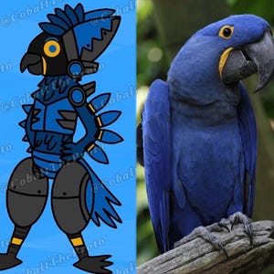 May include: A split image featuring a cartoon bird and a real bird. The cartoon bird is blue, black, and yellow with a mechanical design. The real bird is a vibrant blue Hyacinth Macaw perched on a branch.