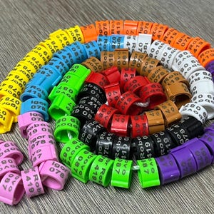 Peut inclure: Une collection d'anneaux en plastique colorés avec des numéros imprimés dessus. Les anneaux sont disposés en spirale, avec des couleurs alternées.