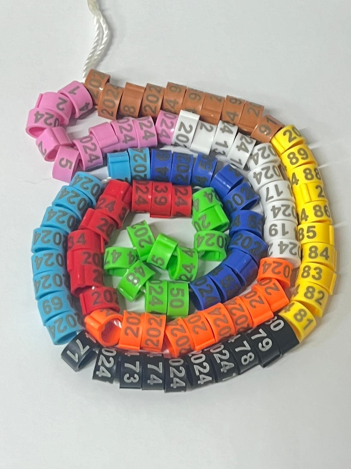555395_5
