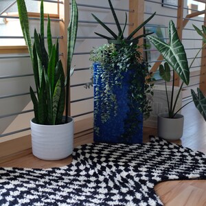 May include: Three potted plants on a black and white patterned rug. The plants are a snake plant in a white pot, a leafy plant in a blue pot, and a large-leafed plant in a grey pot.