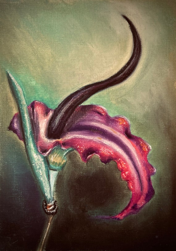 Voodoo Lily, Archival Print - Oil Pastel, 9x13