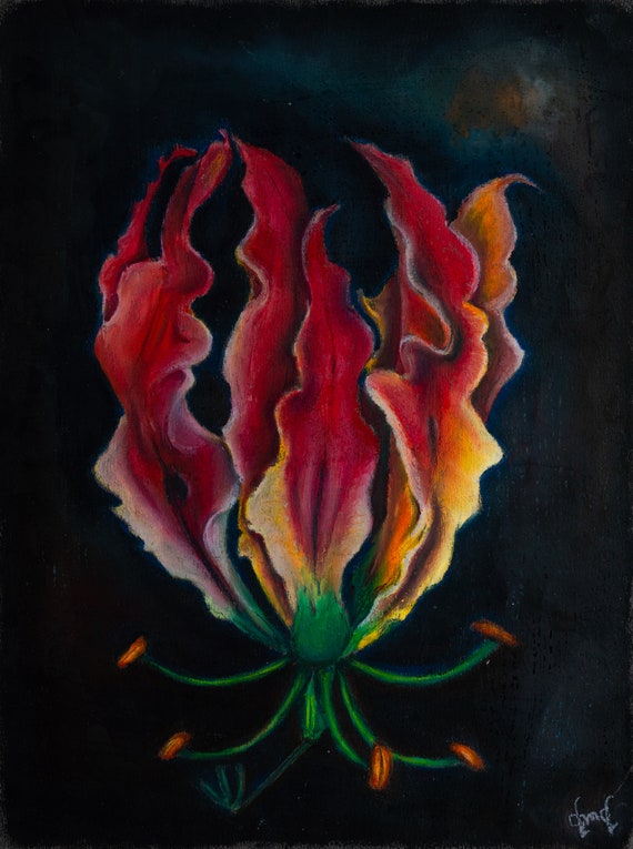 Flame Lily, Archival Print - oil pastel, 8x10, 11x14