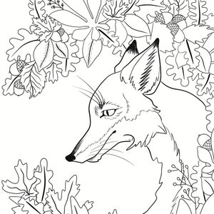 Gildenfuchs Ausmalseite