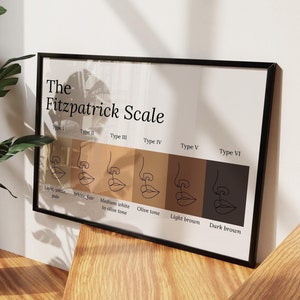 May include: A framed print titled "The Fitzpatrick Scale" displays a diagram of skin tones. The print is in a black frame and is displayed on a wooden surface. A potted plant with large green leaves sits nearby. The scene is lit by natural light.