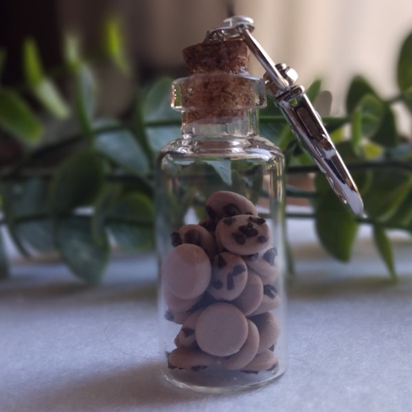 Polymer Clay Cookies in a Bottle/ Cookie Jar Key chain/ Handmade/Gift for Her/ Whimsical