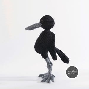 Amigurumi Raven Crochet Pattern: Beginner-Friendly PDF Guide