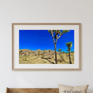 Beautiful Nature Photographs (Joshua Tree National Park, California) - Download & Print