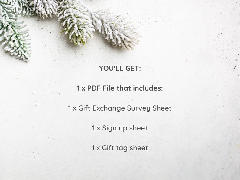 Office Gift Exchange Survey Form, Secret Santa Questionnaire for