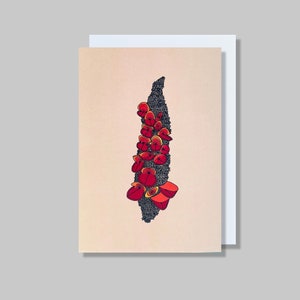 Cartão de agradecimento Banksia | Cartão de vagem Banksia, cartões de natureza australiana, paisagem desértica australiana, cartão de protea, cartão de ervilha do deserto de Sturt, arbusto