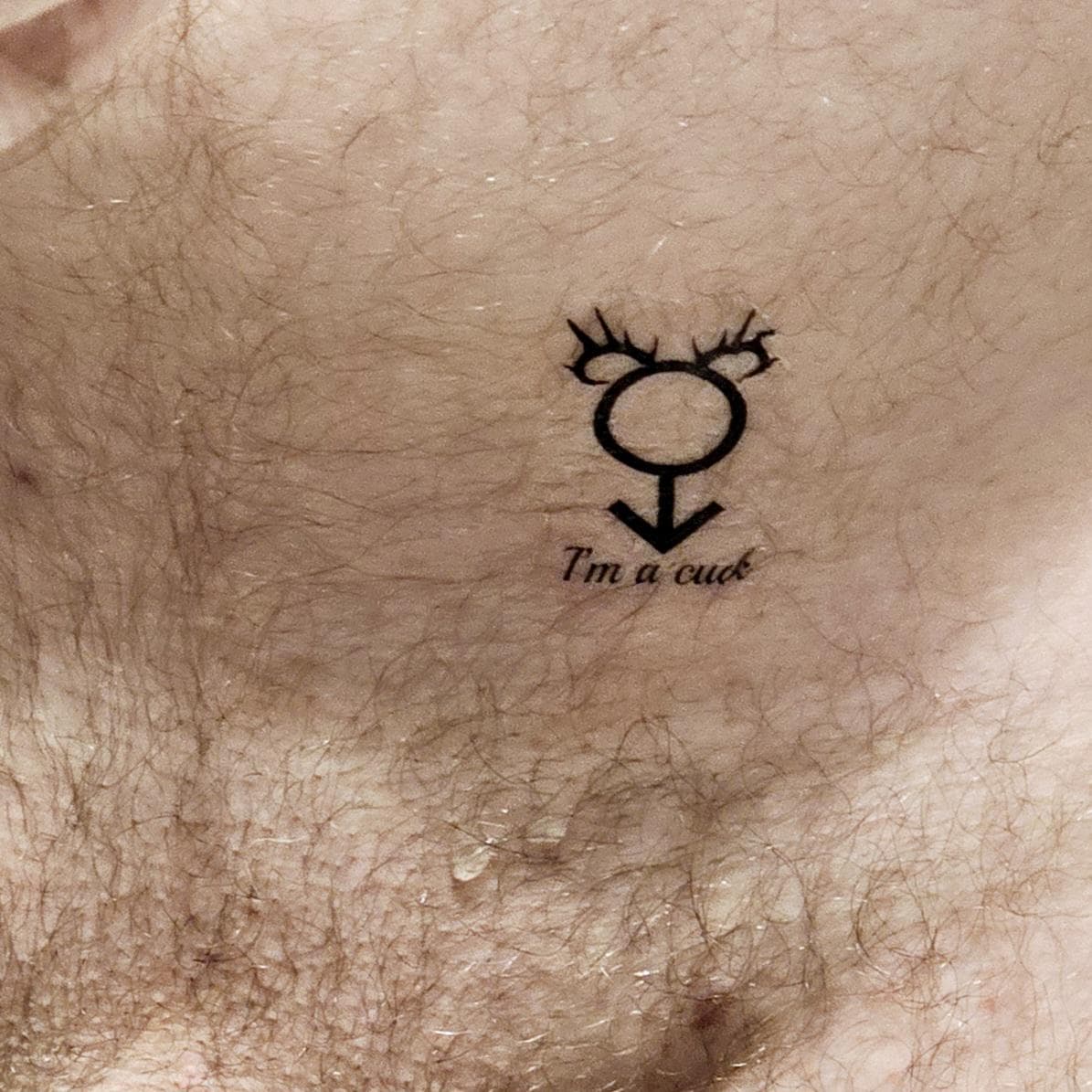 Tatouages Temporaires Cuckold - Motifs Variés Pour Adultes - Lot D'un Tatouage Temporaire - Neuf