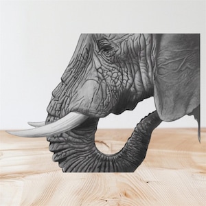 Elephant Charcoal Drawing Print