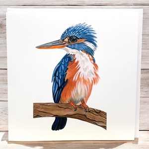 Kingfisher cards, kingfisher greetings card, kingfisher art cards, bird cards, cards for bird lovers, blank cards, birthday cards,