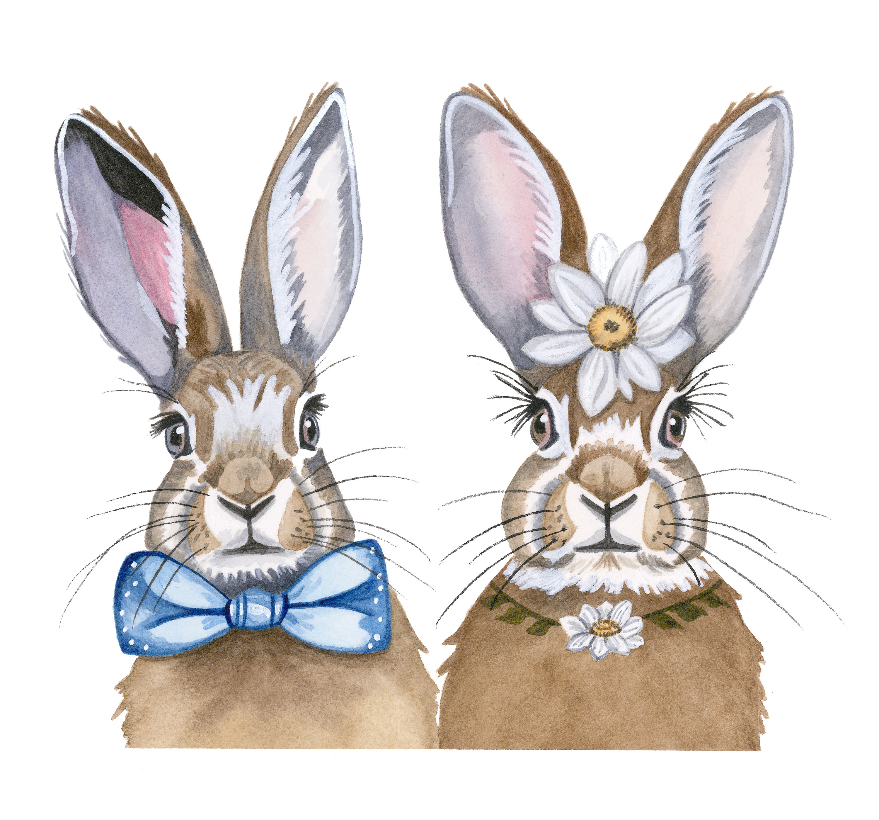 Married Rabbit Just Married Cards, Wedding Cards, Animal Wedding Cards, Rabbit Cards ...
