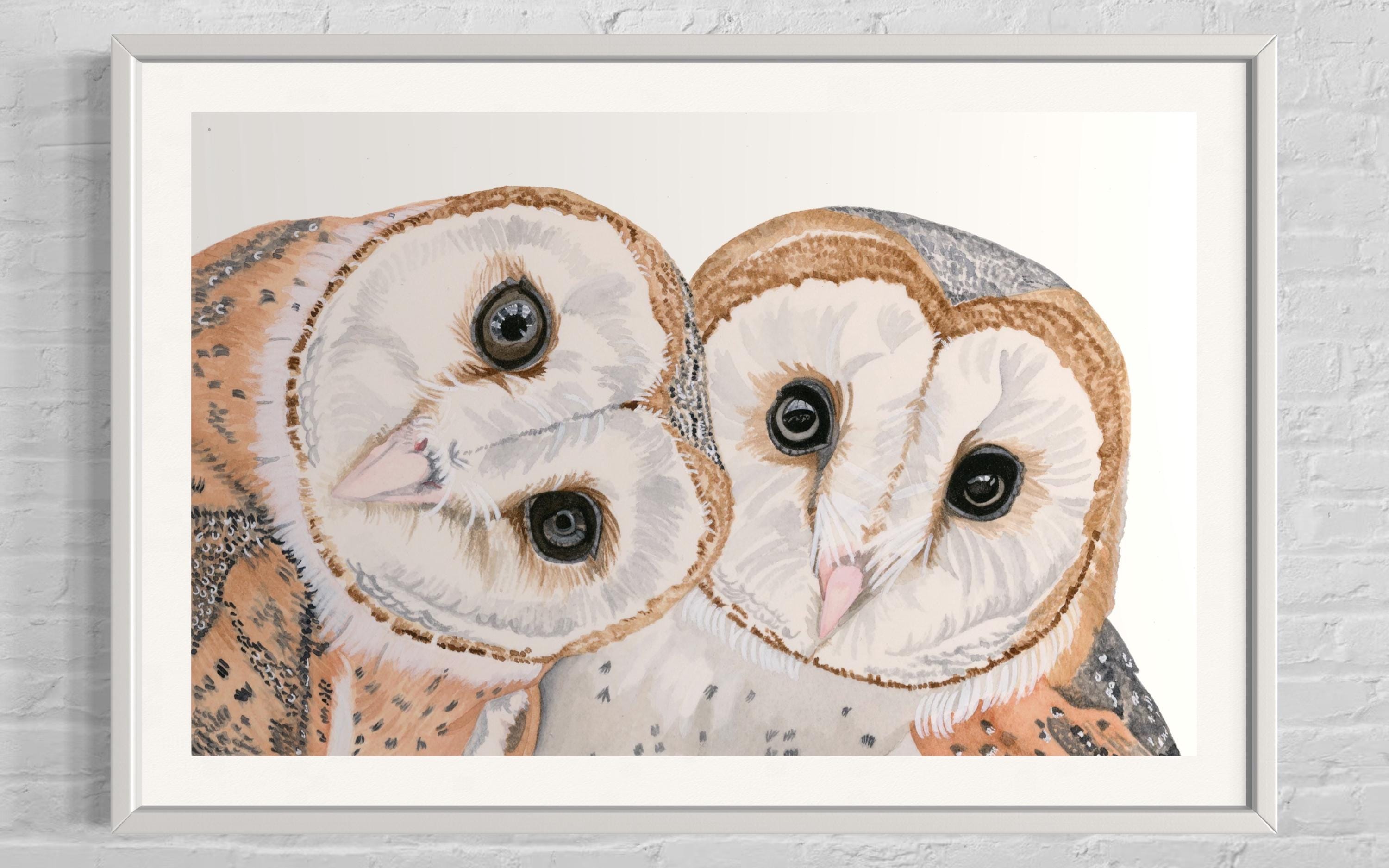 Barn Owl fine art prints, barn owl prints, owl pictures for home, watercolor owl painting, Giclee ow