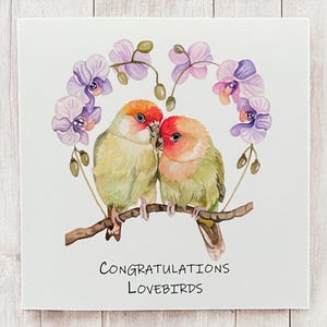 Hochzeitskarten, Lovebirds Hochzeitskarten, Glückwunschkarten, Hochzeitskarten, Lovebird Karten, Glückwünsche zu Ihren Hochzeitskarten, Hochzeitskarte