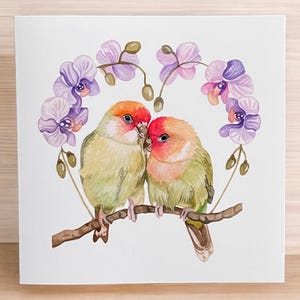 Cartes romantiques, cartes de tourtereaux, cartes de tourtereau, cartes d'amant, cartes d'oiseau, cartes d'oiseau mignon, cartes de perroquet, cartes de tourtereaux, cartes d'animal vierges