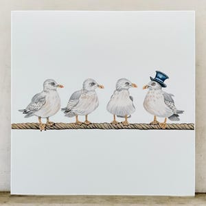 Seagull birthday cards, seagull birthday card, seagull cards, funny seagull birthday cards, funny birthday cards, seagull art, seagulls