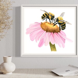 May include: Two yellow and black bumblebees pollinating a pink coneflower. The flower is in focus and the bees are slightly out of focus.