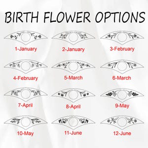 Puede incluir: Imagen que muestra doce dise&ntilde;os florales, cada uno etiquetado con un mes y una flor de nacimiento. El texto "BIRTH FLOWER OPTIONS" est&aacute; en la parte superior. Cada dise&ntilde;o presenta un c&iacute;rculo central rodeado de ilustraciones florales.