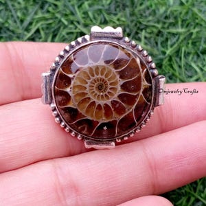 Puede incluir: Un anillo de plata con un amonita fosilizada pulida. La amonita muestra un patrón espiral detallado en tonos marrones y beige, encerrada en un engaste transparente y abovedado. El anillo tiene un borde decorativo con cuentas y detalles rectangulares.