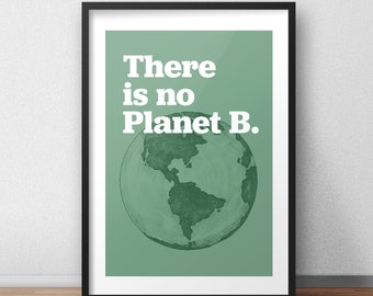 Environmental Poster 'There is no Planet B'