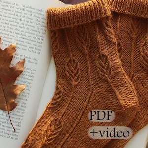May include: A pair of brown knitted socks with a leaf pattern, resting on an open book. The text "PDF + video" is visible on the socks.
