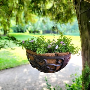 Könnte beinhalten: Ein hängender Korb gefüllt mit grünen Pflanzen und kleinen lila Blüten. Der Korb hat einen dunklen Metallrahmen mit dekorativen Schnörkeln und eine Auskleidung aus Naturfaser. Er hängt an einer Kette, die an einem Ast befestigt ist, mit einem verschwommenen grünen Hintergrund.