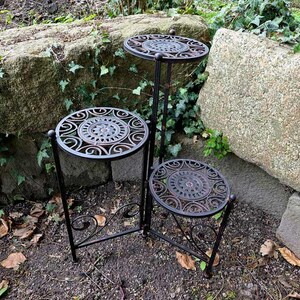 blumenkasten hecke Hecke am laufenden Meter Balkon' mit Gef-Bausatz  Helix Pflanzen