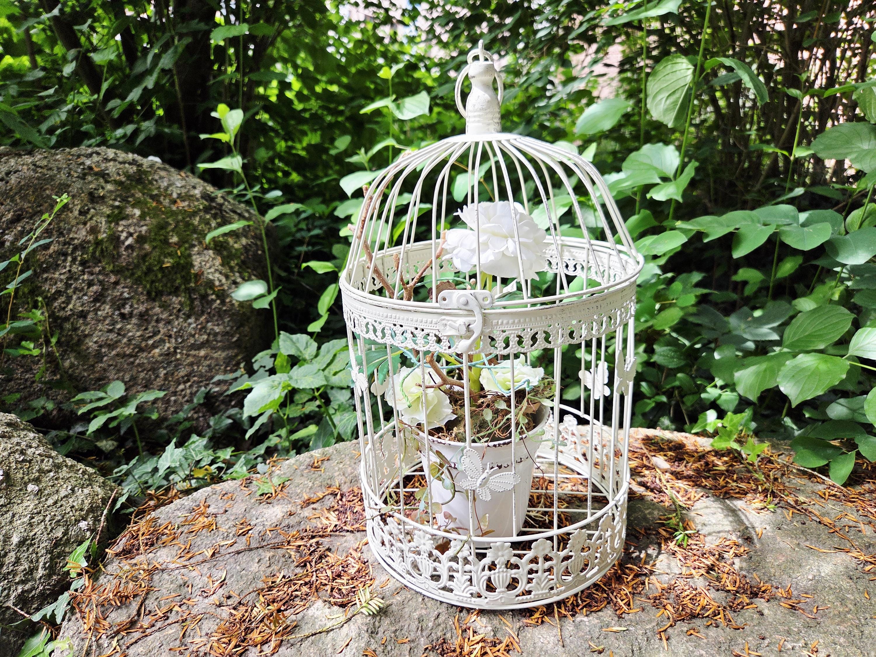 Decorazione Gabbia Per Uccelli In Ottone | Centrotavola Elegante | Per Salotto, Casa, Giardino | Regalo Per Amanti Degli Animali