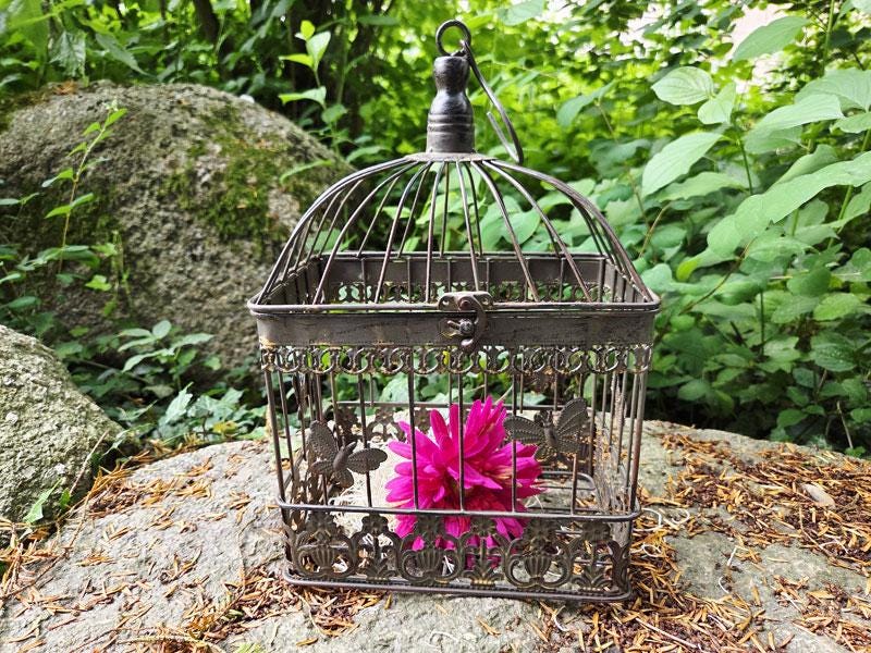 PrimoLiving Deko-Vogelkäfig Gold Antik-Optik – S Größe, 21 X 11 Cm, Zum Hängen Oder Stellen