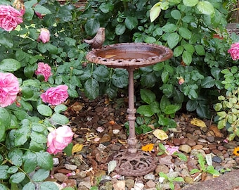 Vintage Vogeltränke auf Standfuß 35cm hoch Gusseisen Wassertränke mit flacher Wasserschale nostalgisches Vogelbad Antik Gartendeko