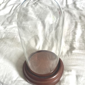 18cm x 12cm Glass Cloche with Wood Base | Mini Display Dome | Terrarium Cloche | Vintage Style Glass Bell Jar