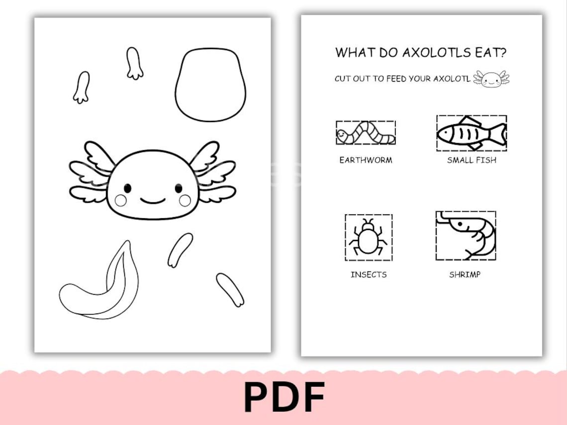 Axolotl Math Axolotl Build & Play PDF, Printable Axolotl Cut Out Craft, Educational ...